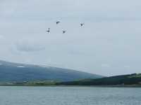 Go Wild on off road trip to Lake Paravani