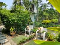 พาน้องหมามาหายใจทิ้งที่คาเฟ่นี้กัน  อยู่อัมพวานี้เอง