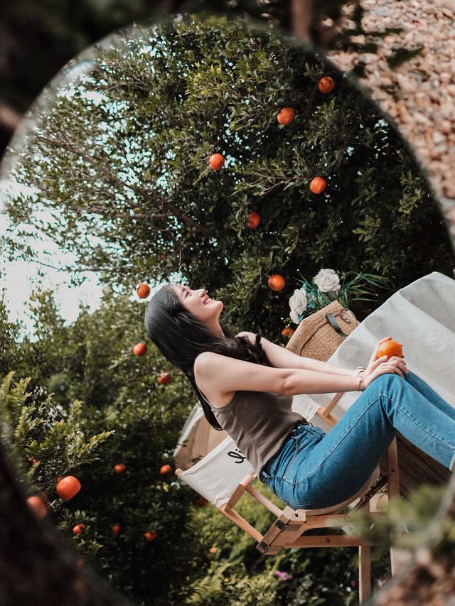 April Flavours Cafe 🍊