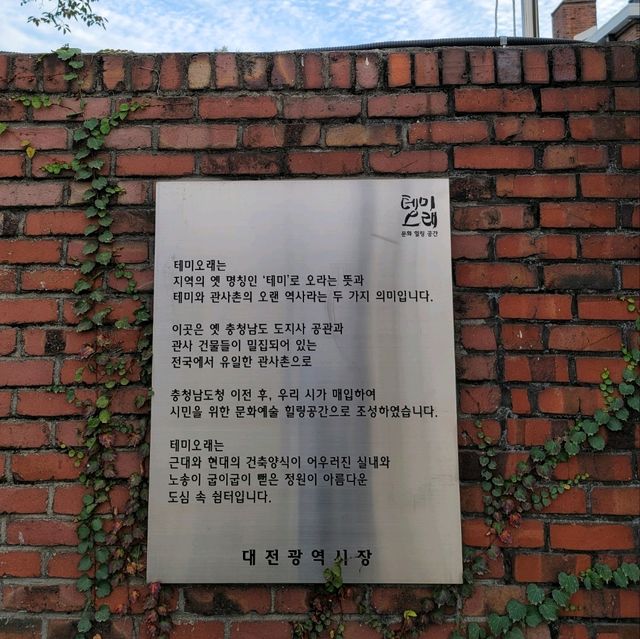 두근두근여름휴가 대전 여행 할 때 꼭 들려보면 좋을 구 관사촌 테미오래