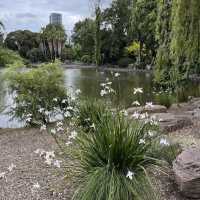 Beautiful Park in Melbourne 