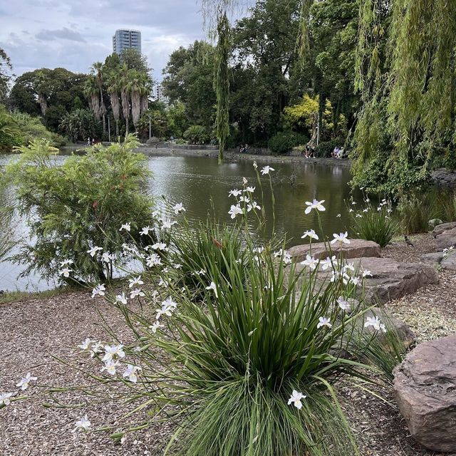 Beautiful Park in Melbourne 