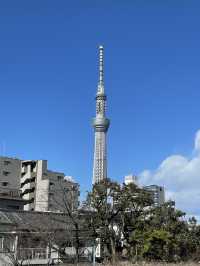 【東京都/亀戸天神社】人生の流れを表す3つの橋がある神社