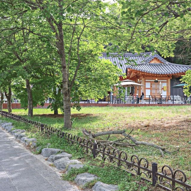 초록초록한 숲길, 산책하기 좋은 고창 선운사