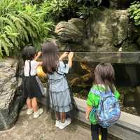 【大阪最大】何度も行きたい水族館！