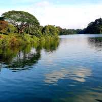 singapore's tropical gem