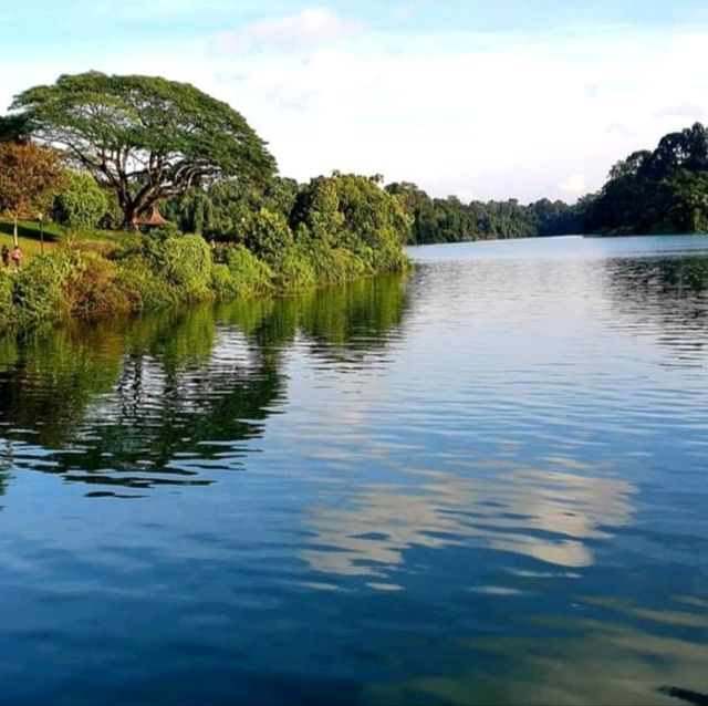 singapore's tropical gem