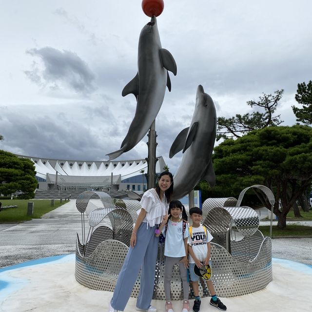 🐬🍨日本福岡 不能錯過的水族館餐廳😍