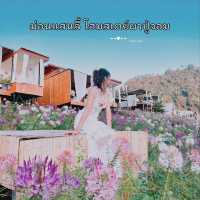 โฮมสเตย์เชียงใหม่ วิวสุดปัง ท่ามกลางสวนดอกไม้ เริ่มต้นคนละ 900 รวมอาหารเช้า🌷🌸🌹🌺