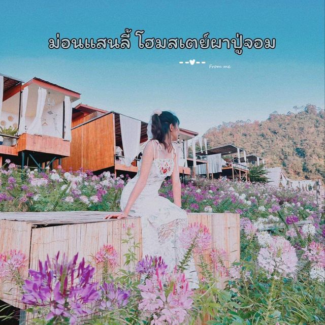โฮมสเตย์เชียงใหม่ วิวสุดปัง ท่ามกลางสวนดอกไม้ เริ่มต้นคนละ 900 รวมอาหารเช้า🌷🌸🌹🌺