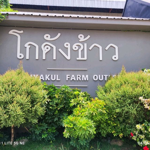 โกดังข้าว