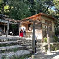 【京都府】日本でここだけ！髪を護る御髪神社へ