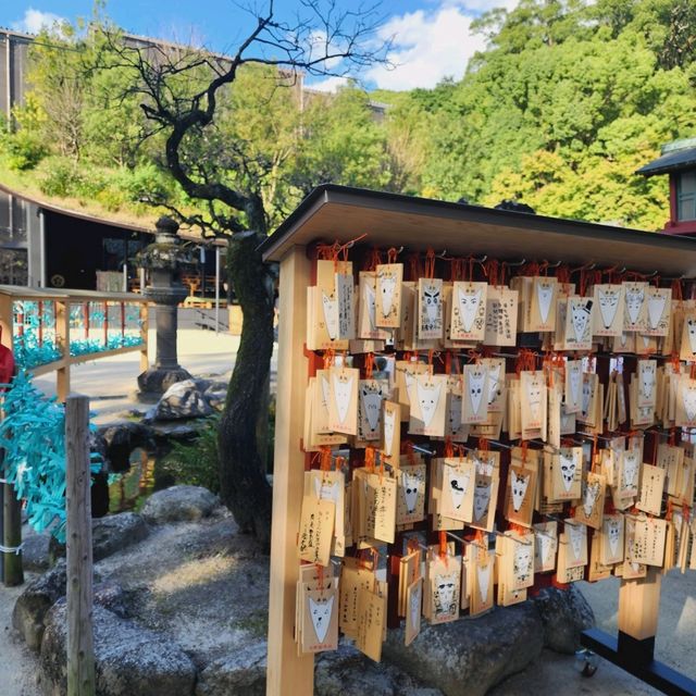 Autumn walk through Dazaifu