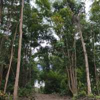 Hiking in kuala muda