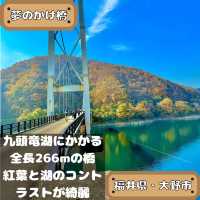 夢のかけ橋
