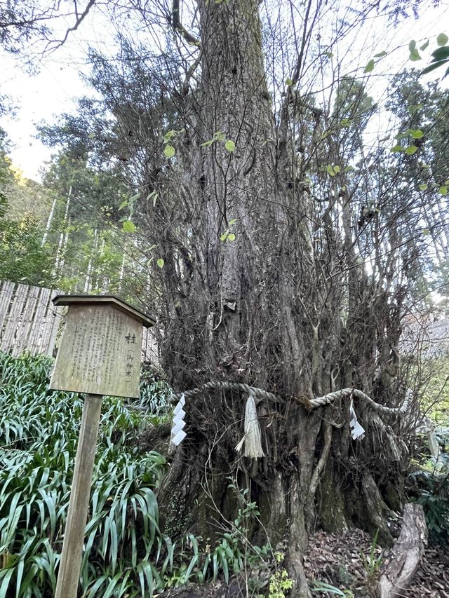 【京都府/貴船神社結社】結び文に願いをしたためよう！