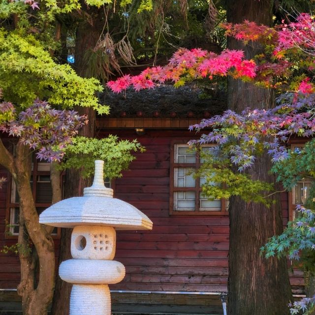 Fushoushan Farm