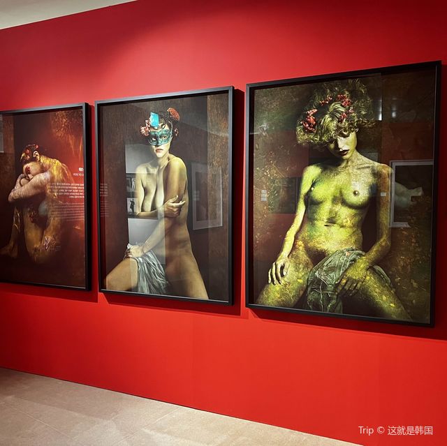 알버트왓슨 사진전 