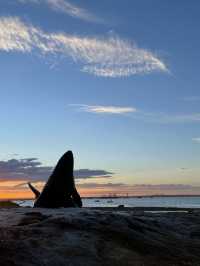 澳洲｜新南威爾士州｜雪梨 鯨魚骨雕像Whale Sculpture Kurnell