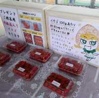 Grandberry Farm Osaka