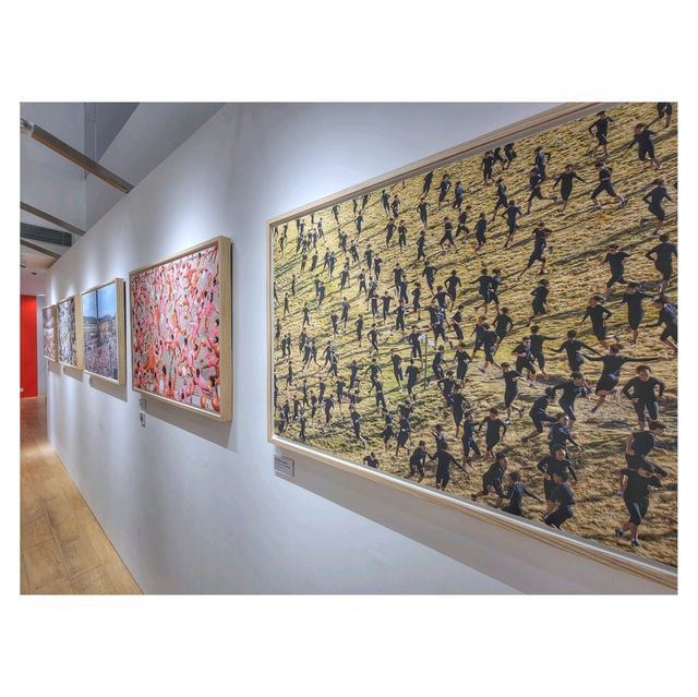 Pelle Cass靜態縮時攝影展。海港城美術館