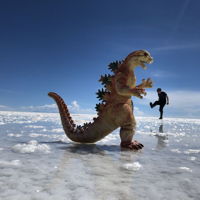 🇧🇴玻利維亞天空之鏡 一生人一定要去一次！