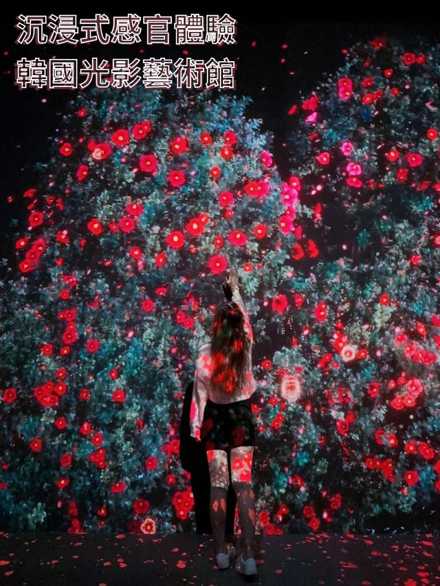 假日好去處  ︳沉浸式感官體驗