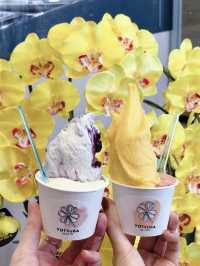 【福岡カフェ】手作りジェラートの美味しいお店🍧