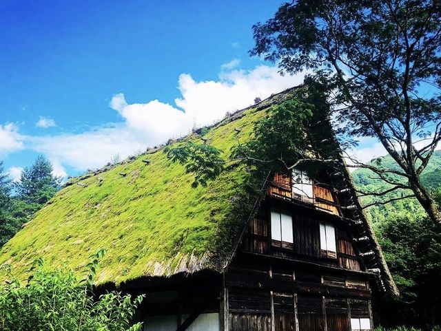 【岐阜県、白川郷】　夏の白川郷の魅力