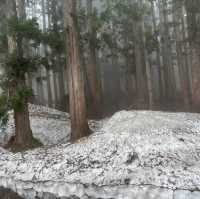 日本立山黑部登山之旅