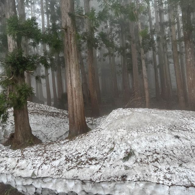 日本立山黑部登山之旅