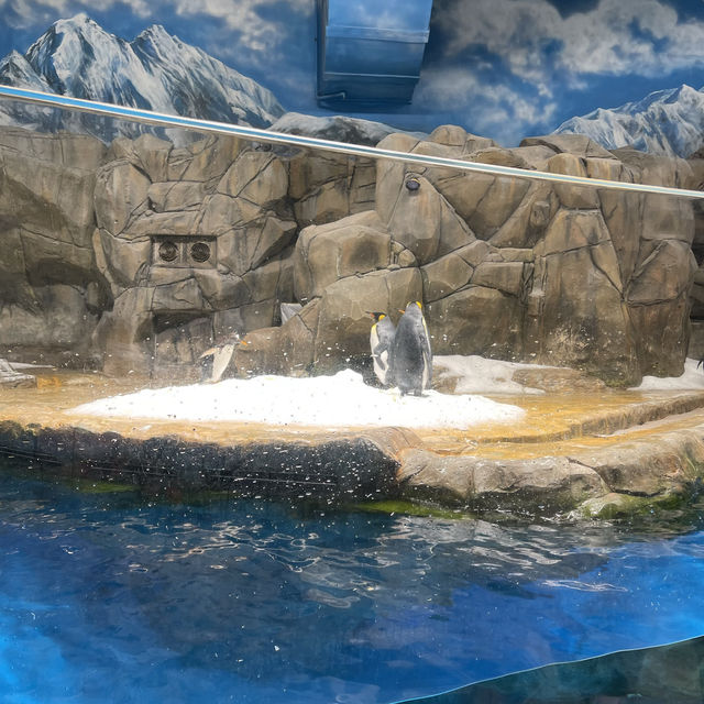 香港海洋公園
