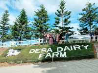 Embrace the Charm of Desa Dairy Farm