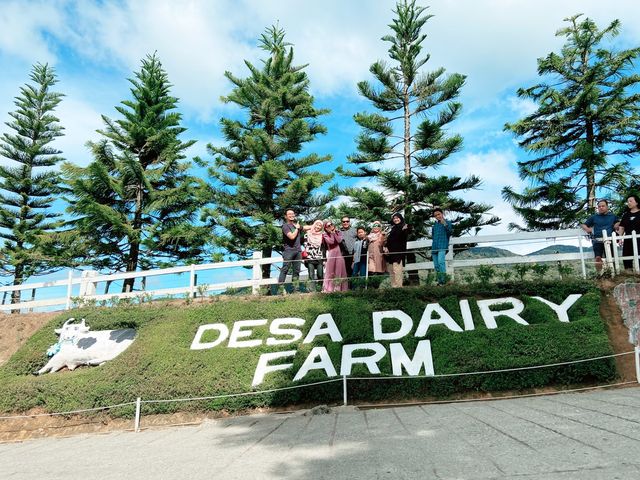 Embrace the Charm of Desa Dairy Farm
