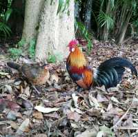 Little Guilin Bukit Batok Nature Park