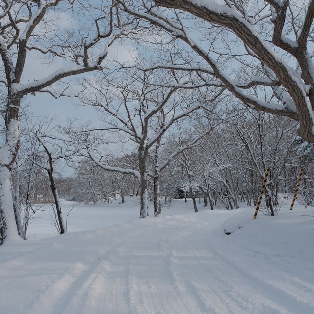 【北海道】白銀の中！冬の大沼公園