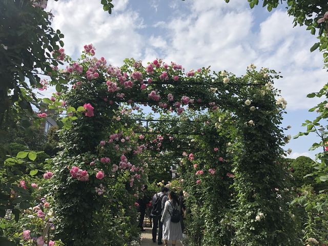 港の見える丘公園@横浜🌹
