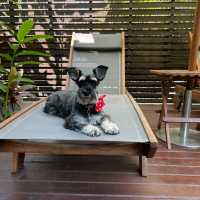 รีวิว โรงแรม Sea Sand Sun Pattaya