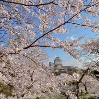 世界遺産　姫路城
