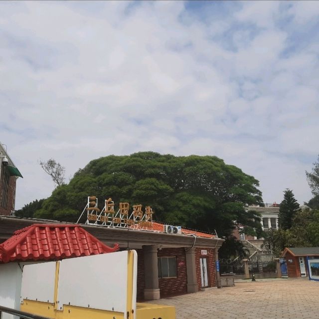 厦門鼓浪嶼～我來也