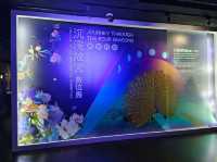 台北故宮-人生一定要看一次的數位光影特展🎀沉浸故宮數位展（畫中動物全部動起來）