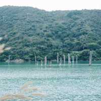 在這裡，解鎖滿分 日系體驗 鹿頸灣