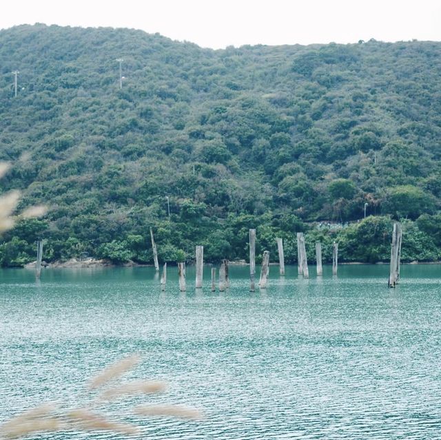 在這裡，解鎖滿分 日系體驗 鹿頸灣