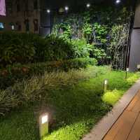 石屎森林裏的頂樓綠洲Cafe🌴🌴🪱