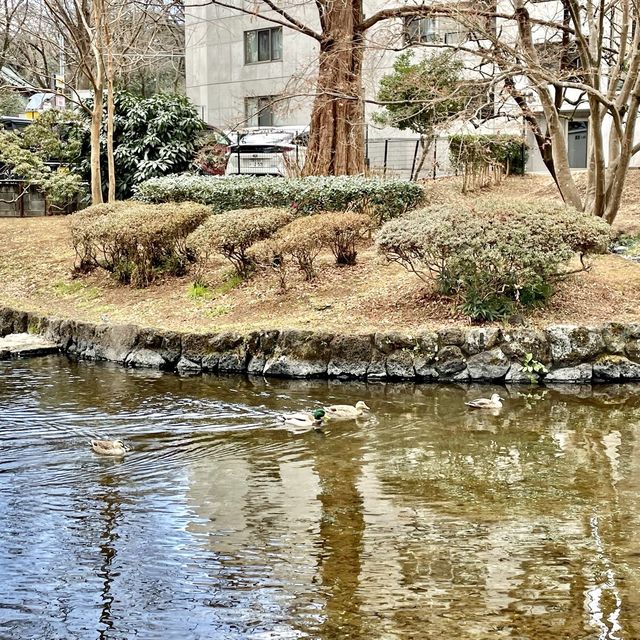 【静岡県】富士山を感じる水の都の「白滝公園」