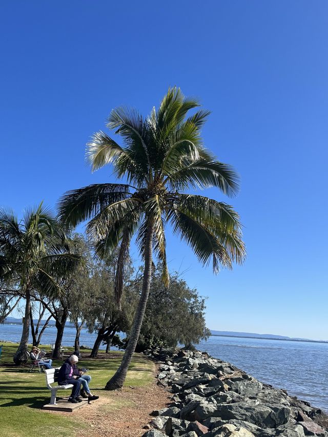 브리즈번 현지인 추천 바다 recliffe 🏖️