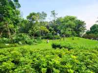 深圳灣 | 休閒好去處-深圳灣公園