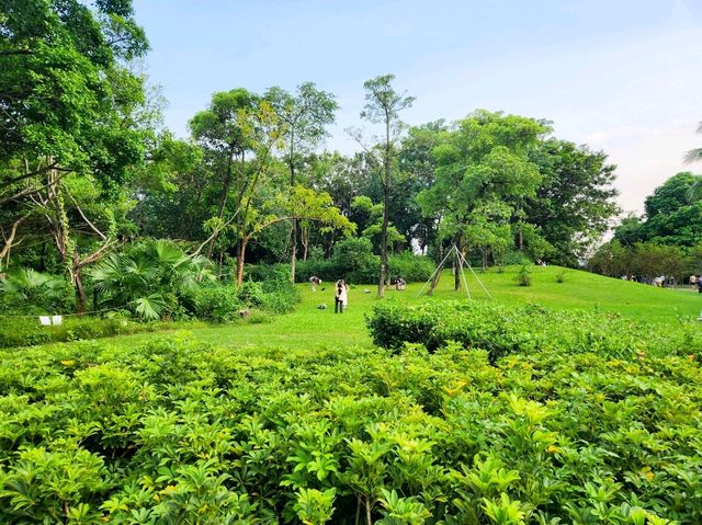 深圳灣 | 休閒好去處-深圳灣公園