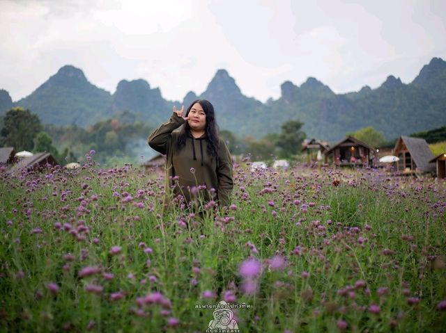 ไร่ภูผาหมวก.. เชียงดาว จ.เชียงใหม่