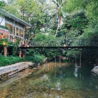 บ้านต้นไม้กลางป่าริมลำธาร บ้านในหมง treehouse 